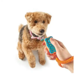 Brightkins Learning Resources | Brightkins Donut Smarty Pooch! Training Clicker