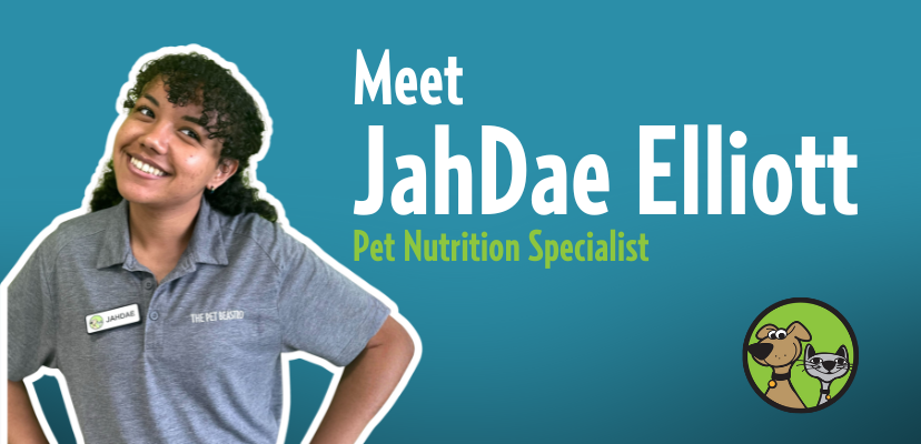 Meet JahDae: Pet Care Expert and Animal Enthusiast at The Pet Beastro