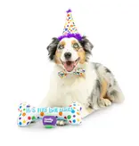 Huxley & Kent Huxley & Kent Barkday | Celebrations Box for Dogs over 25 lbs Large