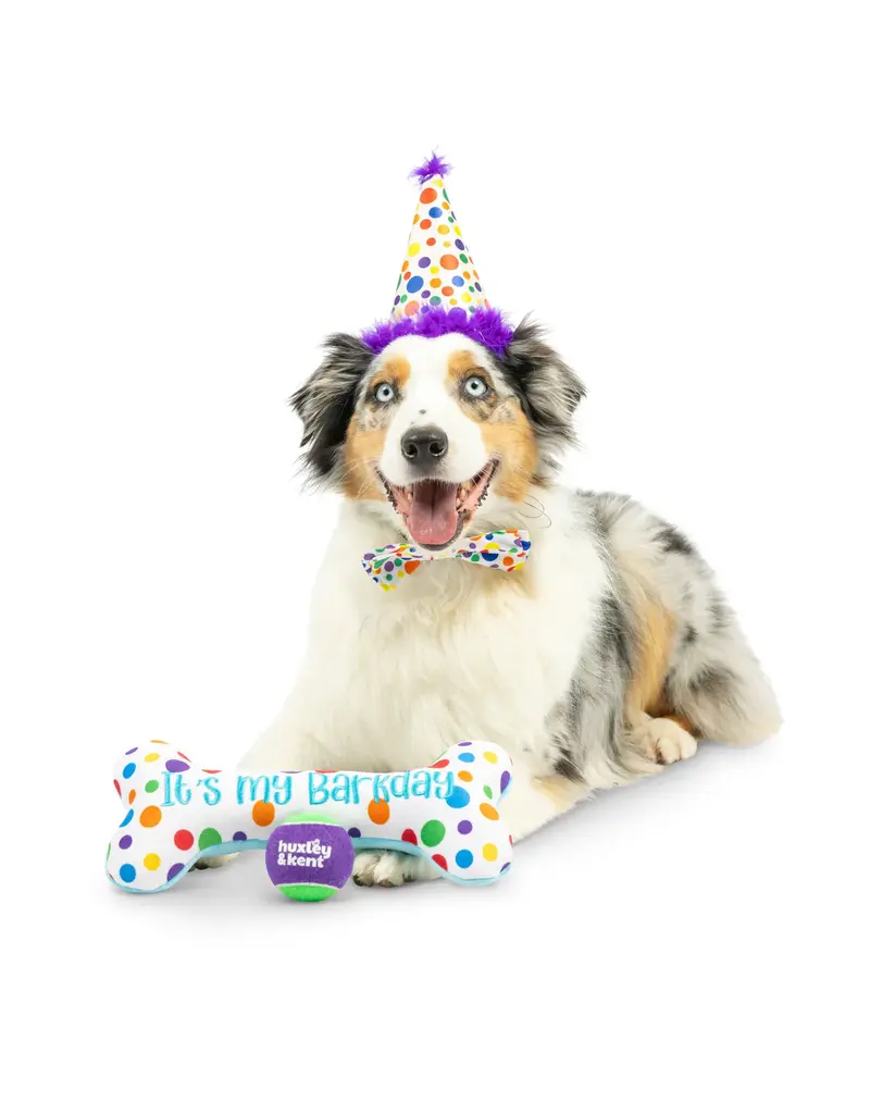 Huxley & Kent Huxley & Kent Barkday | Celebrations Box for Dogs over 25 lbs Large