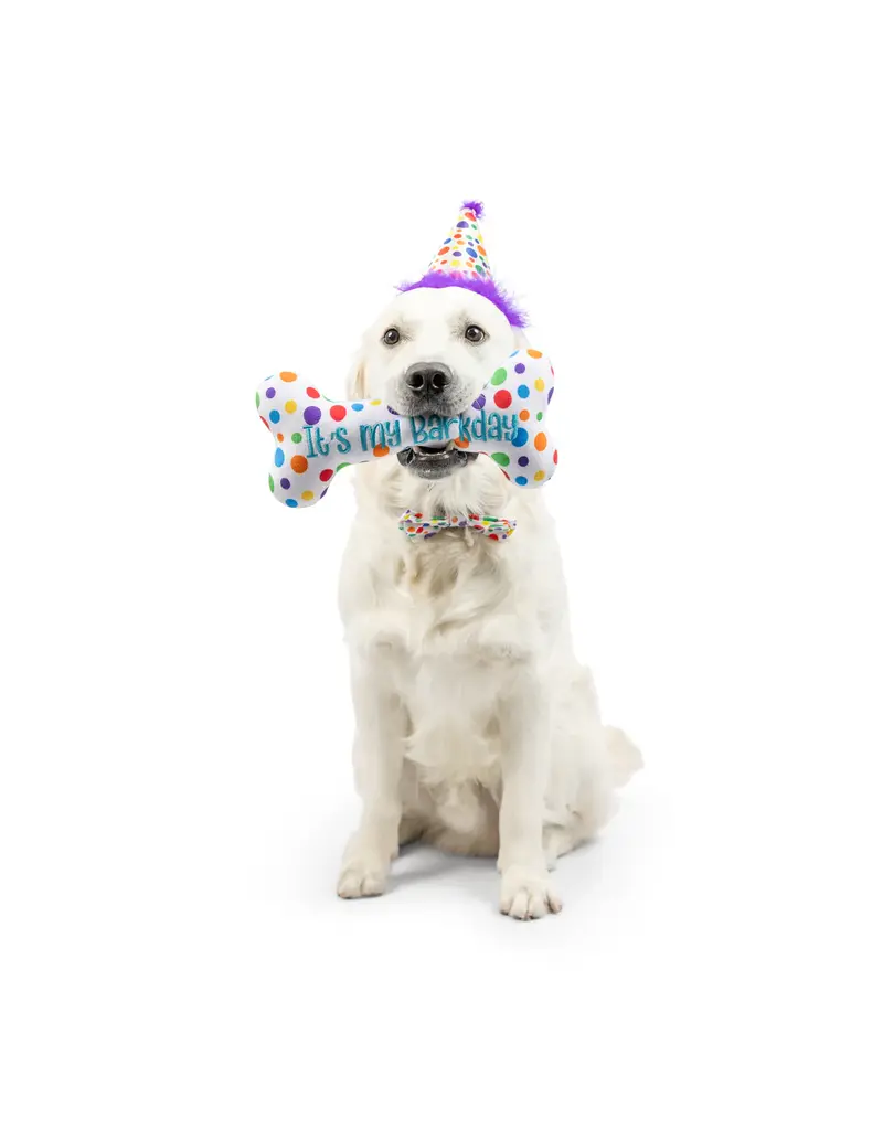 Huxley & Kent Huxley & Kent Barkday | Celebrations Box for Dogs over 25 lbs Large