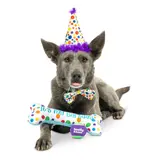 Huxley & Kent Huxley & Kent Barkday | Celebrations Box for Dogs over 25 lbs Large