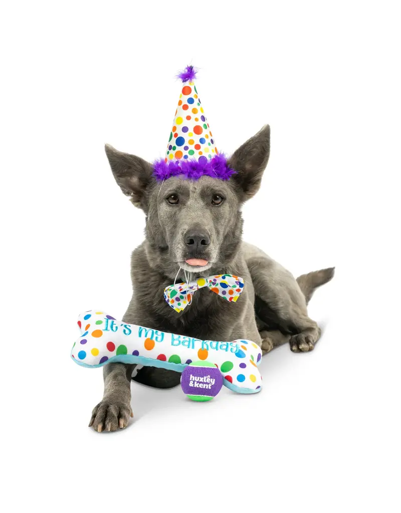 Huxley & Kent Huxley & Kent Barkday | Celebrations Box for Dogs over 25 lbs Large