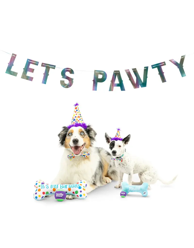 Huxley & Kent Huxley & Kent Barkday | Celebrations Box for Dogs over 25 lbs Large