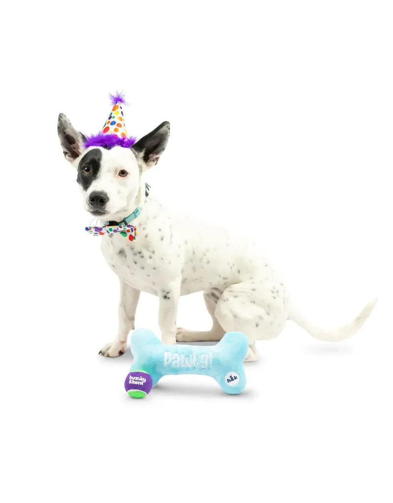 Huxley & Kent Huxley & Kent Barkday | Celebrations Box for Dogs under 25 lbs Small