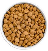 Koha Koha Dog Kibble | Salmon & Brown Rice Bland Diet 20 lb