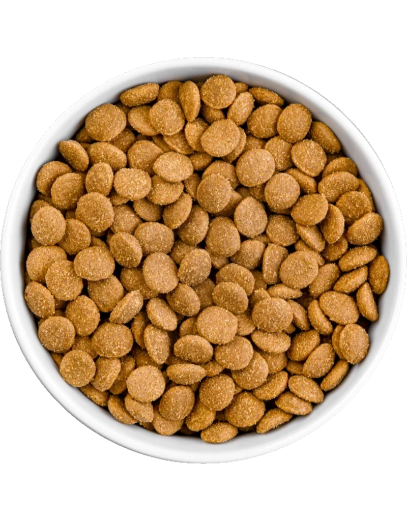 Koha Koha Dog Kibble | Salmon & Brown Rice Bland Diet 20 lb