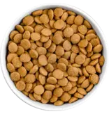 Koha Koha Dog Kibble | Salmon & Brown Rice Bland Diet 3.5 lb