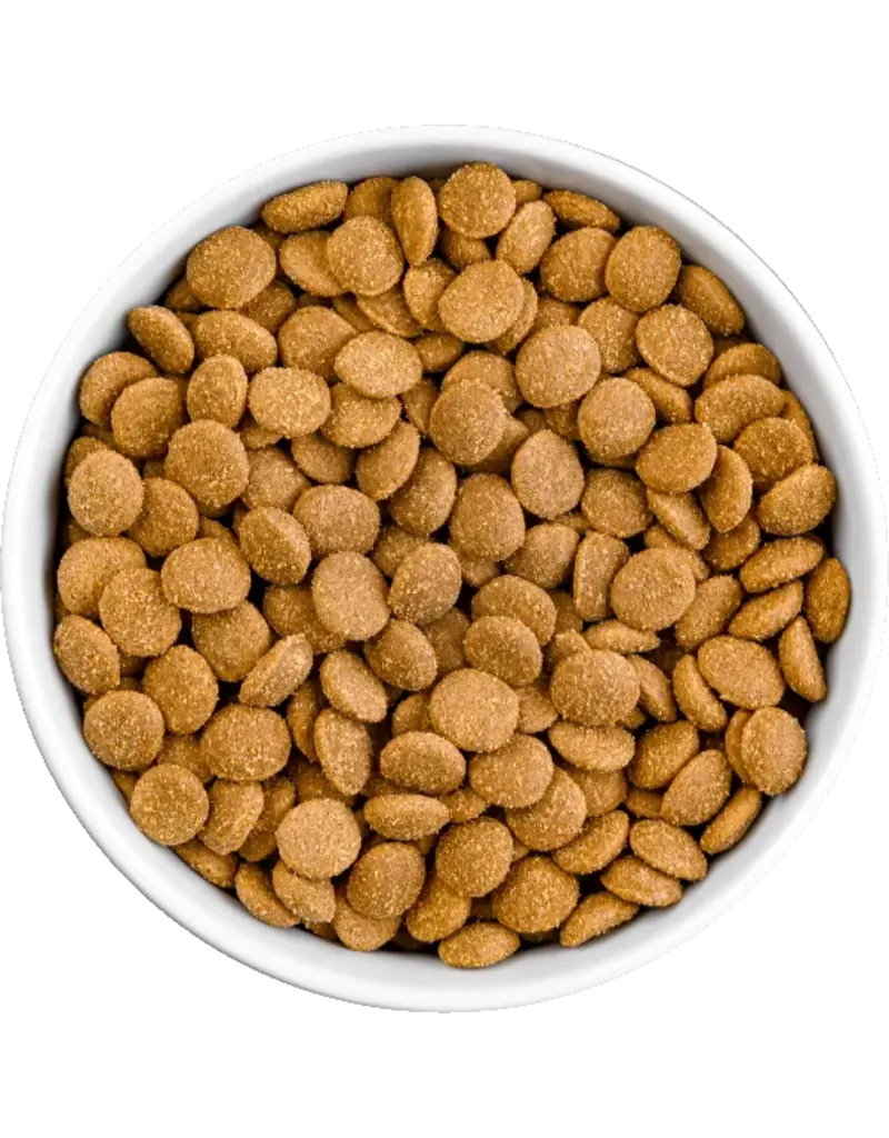 Koha Koha Dog Kibble | Salmon & Brown Rice Bland Diet 3.5 lb