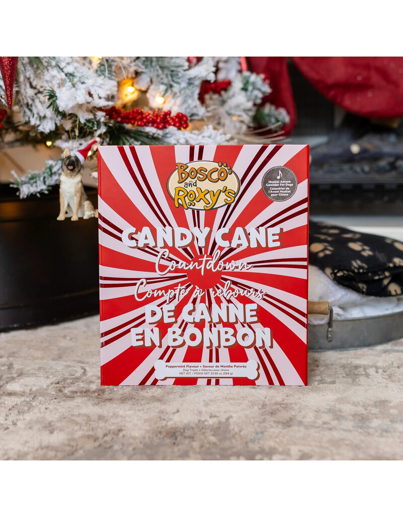Bosco and Roxy's Bosco & Roxy's Holiday 2025 | Candy Cane Countdown Musical Advent Calendar for Dogs