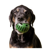 Woof Woof Pupsicle | Treat Dispenser Lavender Extra Large (XL)