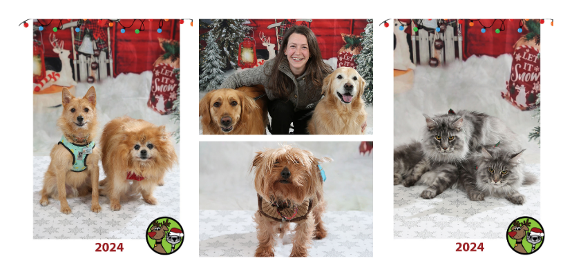 The Pet Beastro Open Houses Pictures