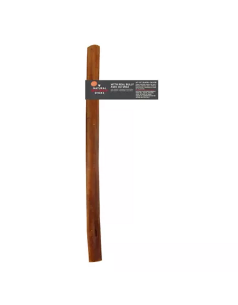 Canine Naturals Canine Naturals Alternative | 10" Beef Bully Stick