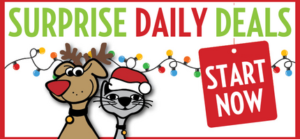 Surprise Daily Deals 2025