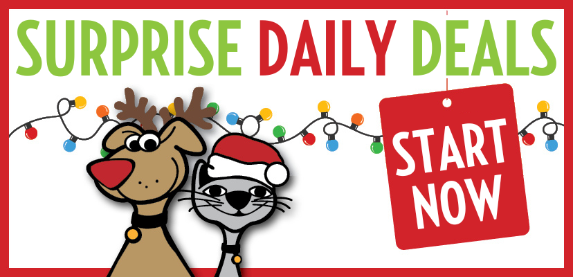 Surprise Daily Deals 2025