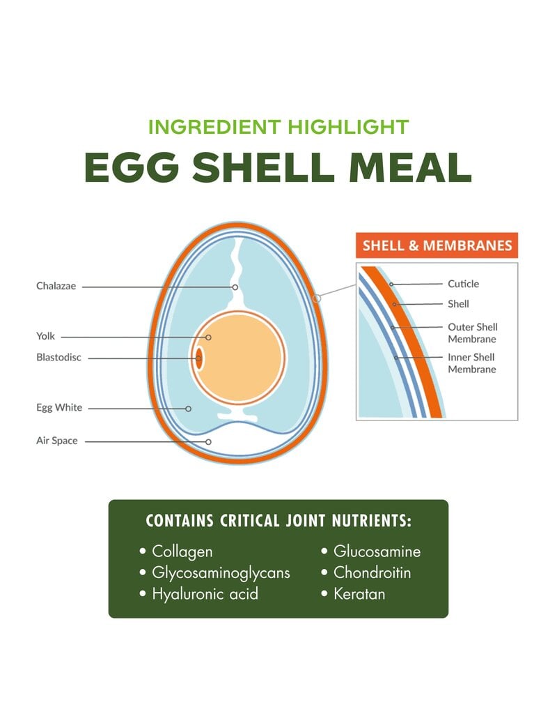 Fromm Fromm Nutritionals Treats | Mobility Crunchy Dog Treat 6 oz