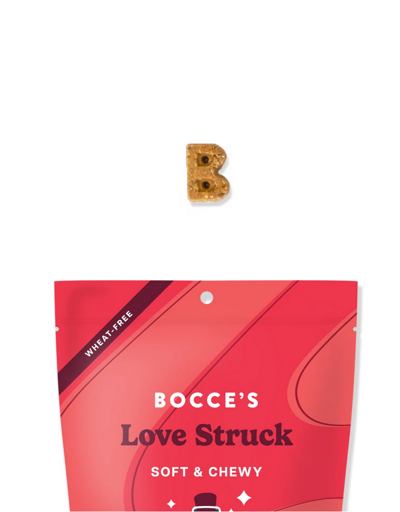 Bocce's Bakery Bocce's Bakery Valentine's Day Soft & Chewy Dog Treats | Love Struck 6 oz