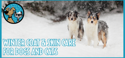 Winter Skin & Coat Care for Dogs and Cats