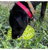 SodaPup SodaPup E-Mat | Lime Green Citrus with Suction Cup