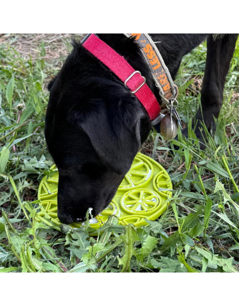 SodaPup SodaPup E-Mat | Lime Green Citrus with Suction Cup