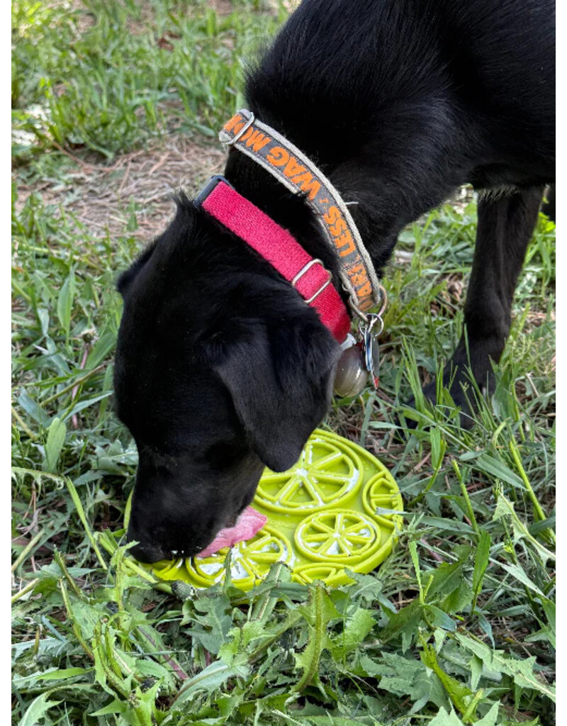 SodaPup SodaPup E-Mat | Lime Green Citrus with Suction Cup