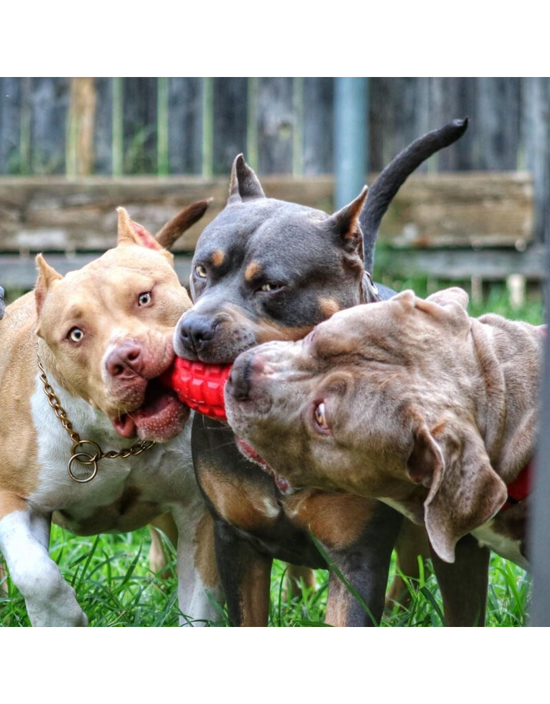 SodaPup SodaPup Enrichment Toys | Grenade Reward Toy Blue Medium