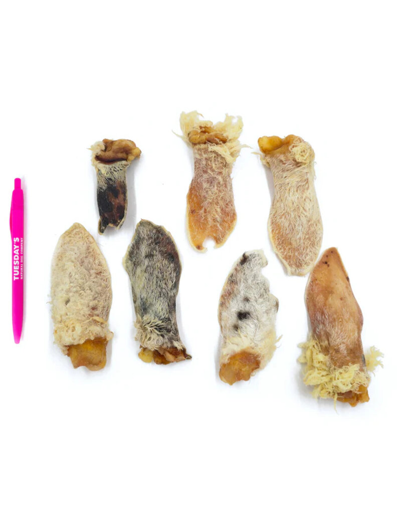Tuesday's Natural Dog Company Tuesday's Natural Dog Company Dog Chews | Furry Lamb Ear single