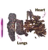 Tuesday's Natural Dog Company Tuesday's Natural Dog Company Treats | Ostrich Heart & Lung Mix 4 oz