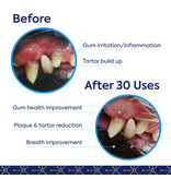 TEEF For Life Teef for Life | Dental Powder Water Additive for Dogs 30 servings