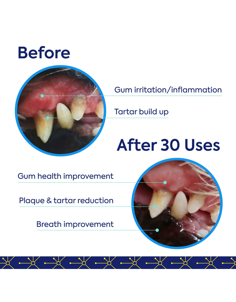 TEEF For Life Teef for Life | Dental Powder Water Additive for Dogs 30 servings