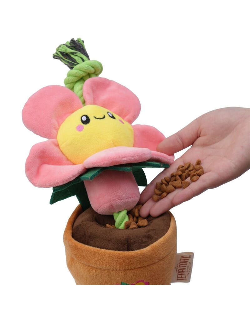 Territory Territory Plush Dog Toy | Pink Daisy Flower Tug Toy 16"
