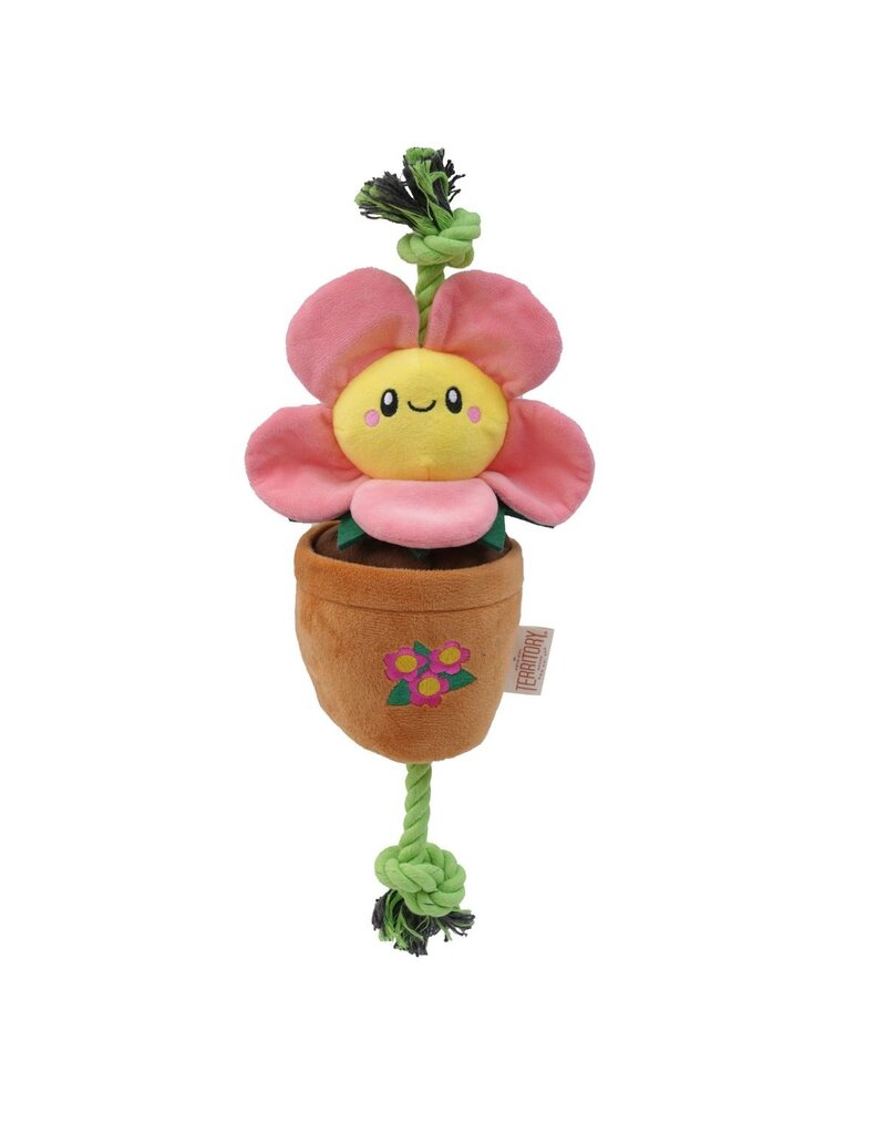 Territory Territory Plush Dog Toy | Pink Daisy Flower Tug Toy 16"