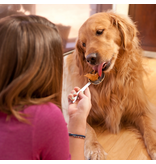 Reid's Gourmet Reid's Gourmet | Bow Wow Peanut Butter 9 oz