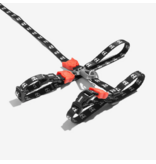 Zee.Dog Zee Cat | Skull Cat Harness with Leash