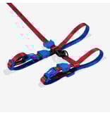Zee.Dog Zee Cat | Spider-Man Cat Harness with Leash