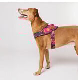 Zee.Dog Zee Dog FlyHarness | Selva Size 1