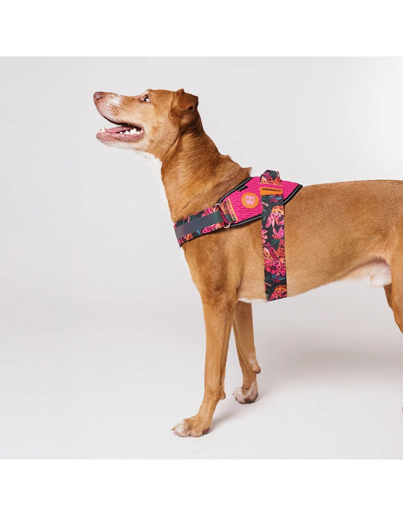 Zee.Dog Zee Dog FlyHarness | Selva Size 1