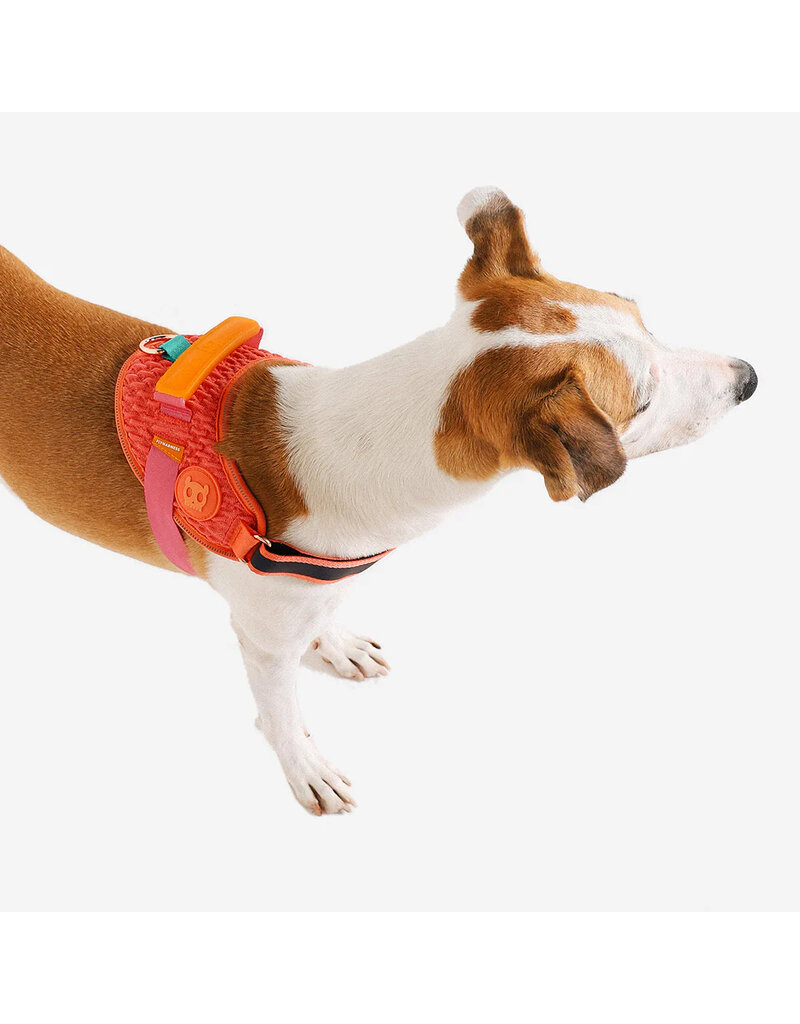 Zee.Dog Zee Dog FlyHarness |  Gazelle Size 2