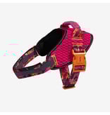 Zee.Dog Zee Dog FlyHarness | Selva Size 5