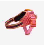 Zee.Dog Zee Dog FlyHarness | Gazelle Size 5