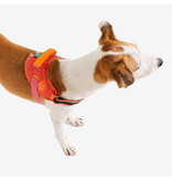 Zee.Dog Zee Dog FlyHarness | Gazelle Size 3