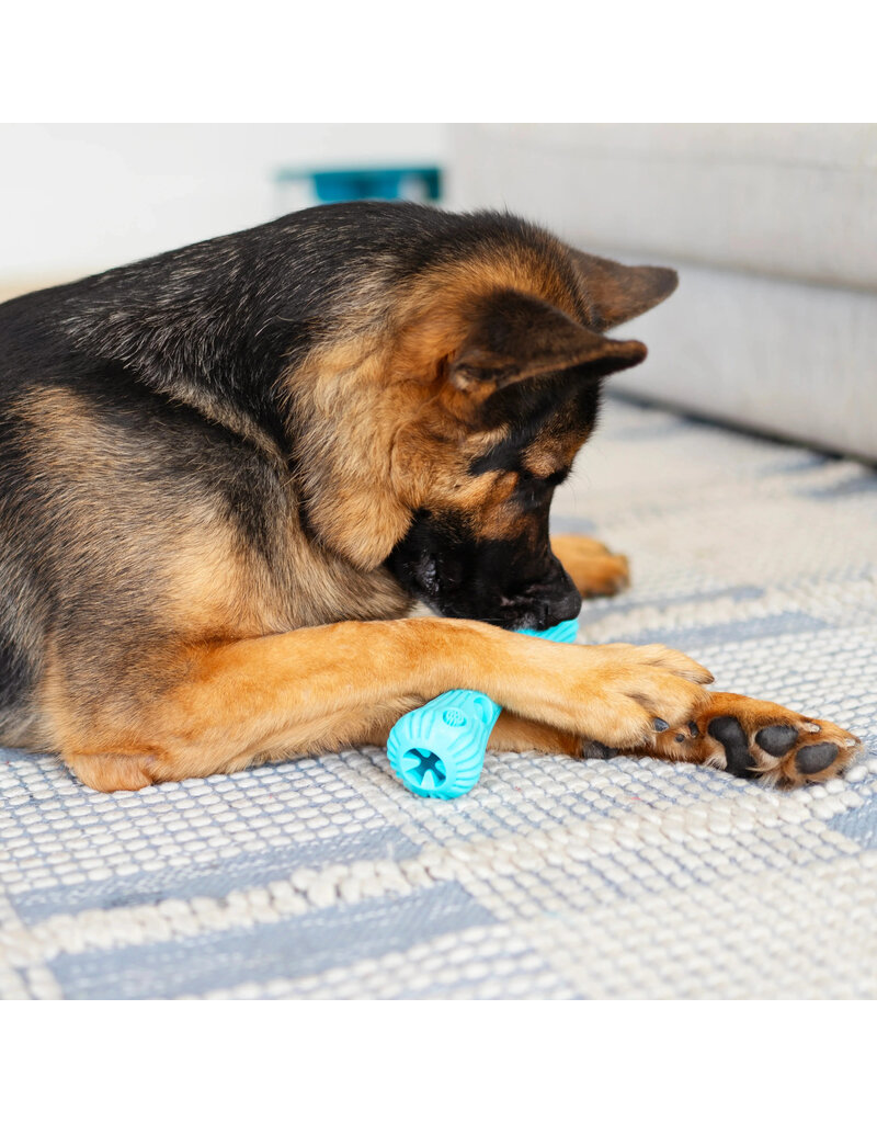 Totally Pooched Totally Pooched Dog Toys | Stuff N' Brush Stick Toy 9" Teal
