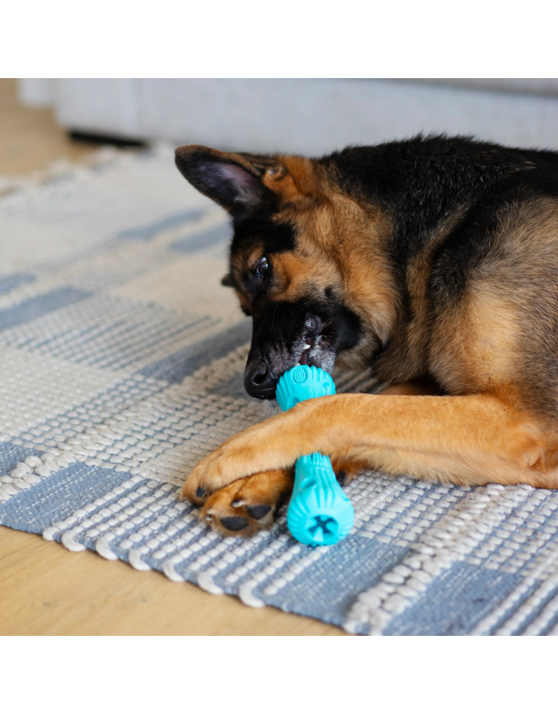 Totally Pooched Totally Pooched Dog Toys | Stuff N' Brush Stick Toy 9" Teal