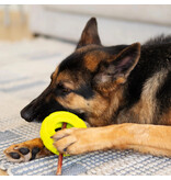 Totally Pooched Totally Pooched Dog Toys | Stuff N' Brush Tire Toy 5" Green