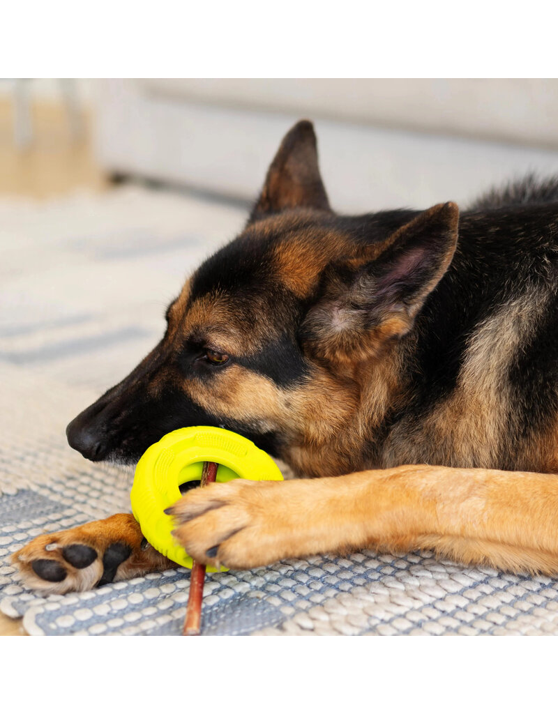 Totally Pooched Totally Pooched Dog Toys | Stuff N' Brush Tire Toy 5" Green