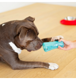 Totally Pooched Totally Pooched Dog Toys | Stuff N' Shake Barrel Toy 6" Teal