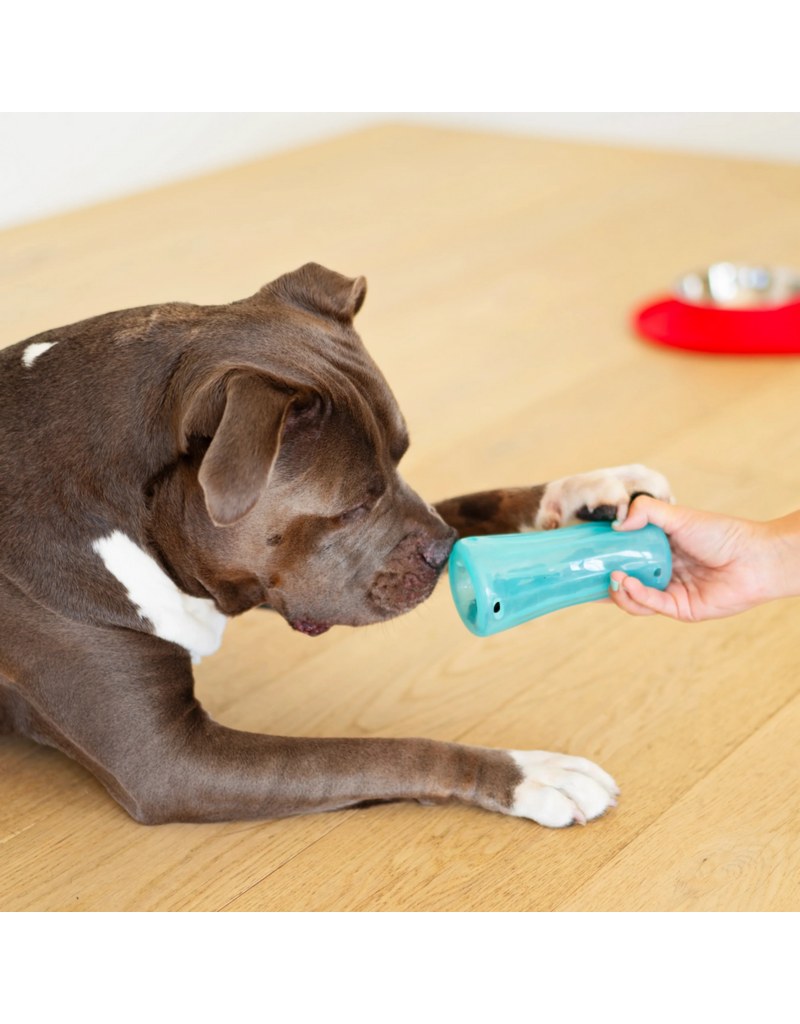 Totally Pooched Totally Pooched Dog Toys | Stuff N' Shake Barrel Toy 6" Teal