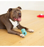 Totally Pooched Totally Pooched Dog Toys | Stuff N' Shake Barrel Toy 6" Teal