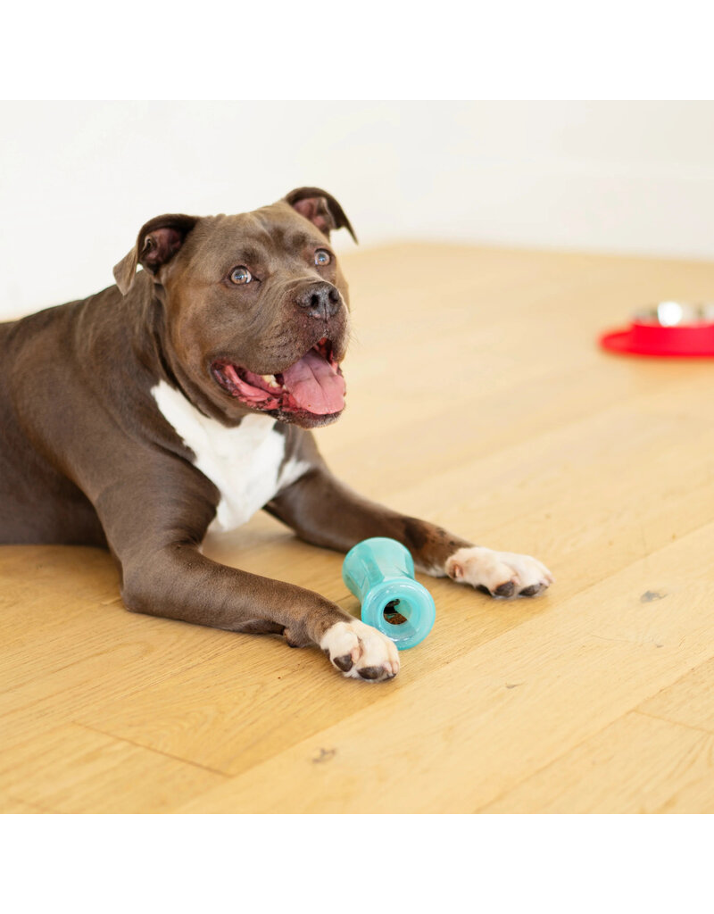 Totally Pooched Totally Pooched Dog Toys | Stuff N' Shake Barrel Toy 6" Teal