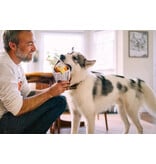 PLAY P.L.A.Y. International Classic Dog Toys | Fish N Chips